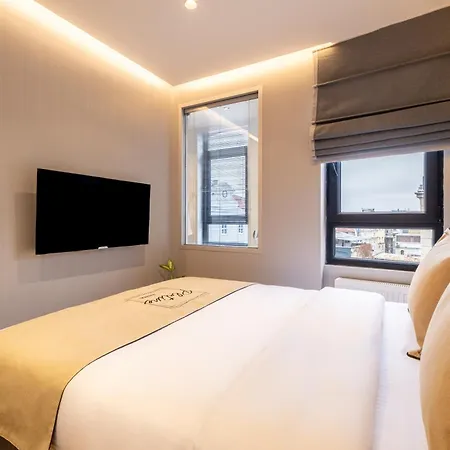 Plus Suite Istanbul מלון